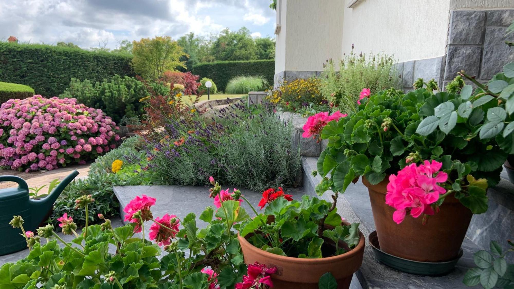 Garden Villa Štanjel المظهر الخارجي الصورة